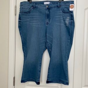 Lane Bryant Signature Fit Pedal Mid Rise Jeans